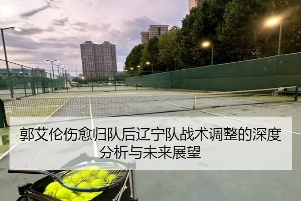 郭艾伦伤愈归队后辽宁队战术调整的深度分析与未来展望