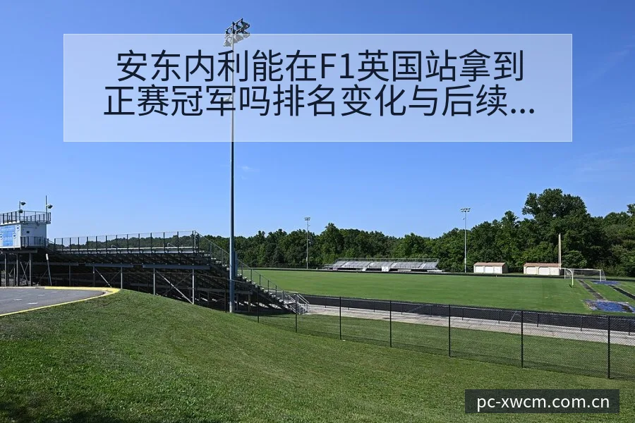 安东内利能在F1英国站拿到正赛冠军吗排名变化与后续走势项 - NG体育